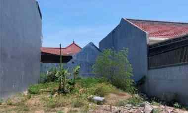 tanah pantai mentari dekat mulyosari ploso lebak dnd