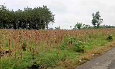 tanah pedesaan untuk hunian dan usaha