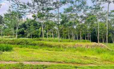 Tanah Dijual di karangpandan, karanganyar