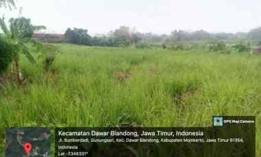 tanah persawahan kabupaten mojokerto