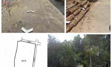 tanah perumahan 4300m2 plesungan karanganyar 450rb m2