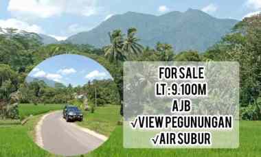 tanah pesawahan tanjung siang subang