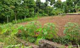 Tanah di Pinang Jaya, Kemiling, Luas 1050m Surat SHM