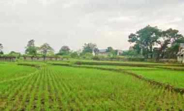 tanah pinggir jalan raya purbalingga jawa tengah