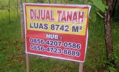 tanah pohon jati siap untuk usaha
