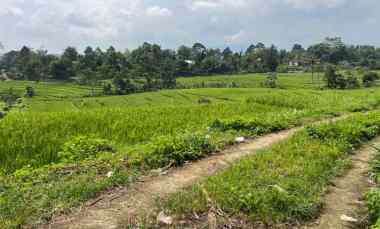 tanah produktif 450 juta karangpandan