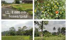 Tanah Produktif, Daerah Jalan Cagak Subang Jawa Barat