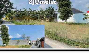 Tanah Rajabasa Lampung Murah