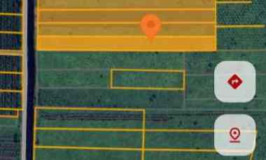 tanah rasau jaya luas 12 hektar harga 960 jt nego