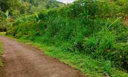 Tanah Subur Cocok untuk Kebun Buah Sambirejo Sragen