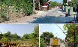 tanah sangsang bakalan polokarto