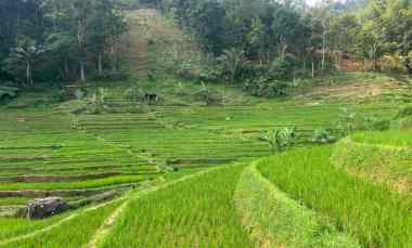 Tanah Dijual di Jatiyoso, Karanganyar