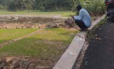tanah sawah di desa cibadak sukamakmur