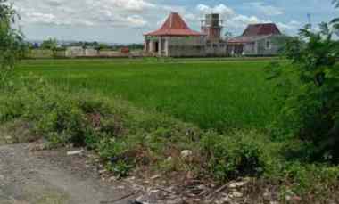 tanah sawah dijual