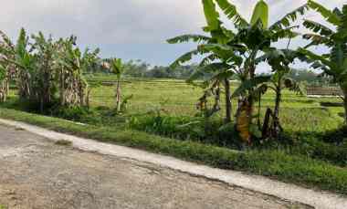 tanah sawah subur 3681m matesih karanganyar