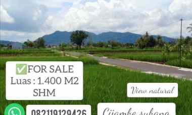 tanah sawah view bagus cijambe subang