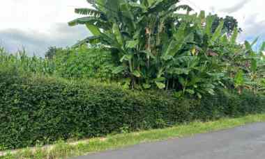 tanah sejuk 300jt cocok rumah tinggal karanganyar