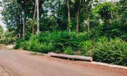 tanah selatan pasar mojogedang