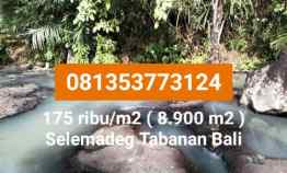 175 Ribu / m2 Tanah Kebun Dijual Murah Loss Sungai di Selemadeg Tabanan Bali