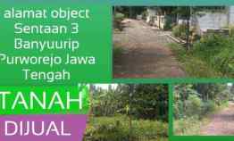 Tanah Dijual di Sentaan 3 Sumbersari Banyuurip Purworejo Jawa Tengah