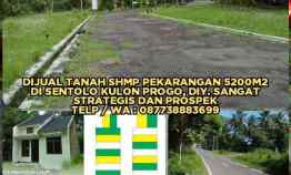 Dijual Tanah Shmp Pekarangan 5200m2 di Sentolo Kulon Progo Diy