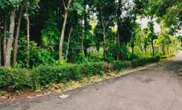 tanah sentra kebun durian