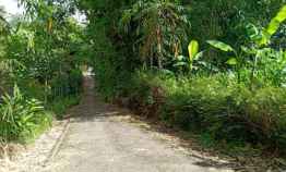 tanah sentra kebun durian