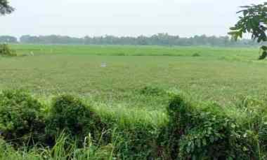 tanah siap bangun daerah industri dekat raya kamal