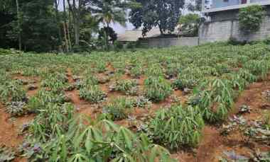 tanah siap bangun di bawah harga pasar