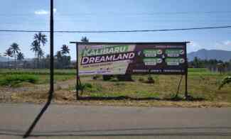 Tanah Dijual di Kalibaru Kulon