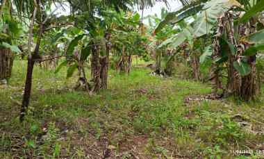 tanah siap bangun di raden gunawan hajimena luas 400m
