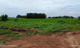 Tanah Siap Bangun di Rajabasa Jaya, Luas 1300M SuratSHM