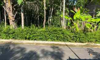 tanah strategis 250 juta utara kantor kecamatan kerjo