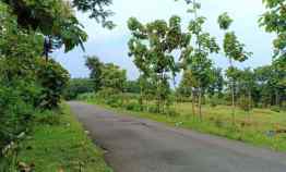 tanah strategis 3000m jl raya sragen kerjo karanganyar