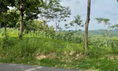 tanah strategis buka usaha 2622m sambirejo sragen