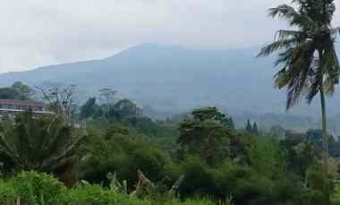 tanah strategis dekat wisata ciater subang