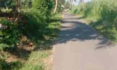 Tanah Dijual di Sebelah selatan kantor desa sumber kalong