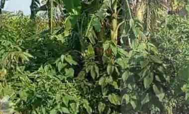 tanah strategis pinggir jalan