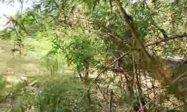 tanah strategis rata dan padat siap bangun