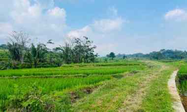 tanah subur 1050m irigasi mudah karanganyar
