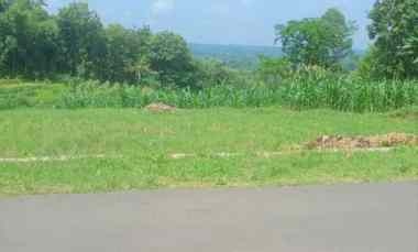 tanah subur 1370m cocok untuk kebun karanganyar