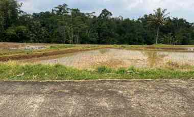 tanah subur 2000m timur pasar mojogedang karanganyar