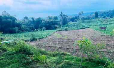 tanah subur 2000m udara dingin ngargoyoso