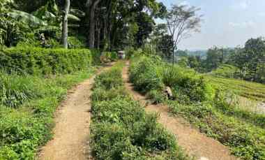 tanah subur 4000m udara dingin karangpandan
