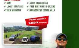 Tanah Dijual di Sukamanah megamendung Bekasi