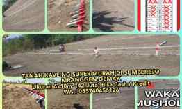 Tanah Kavling Super Murah di Sumberejo Mranggen Demak 3 menit ke Pom
