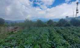 Tanah Komersial di Lembang Bandung