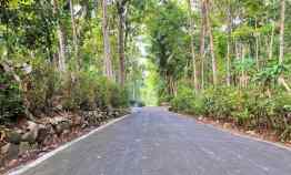 Tanah Super Datar 1028m2 hanya 250 juta Karanganyar