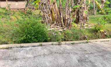 tanah super datar 300rb m 2000m karanganyar utara