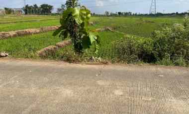 tanah super datar 3889m sambirejo sragen